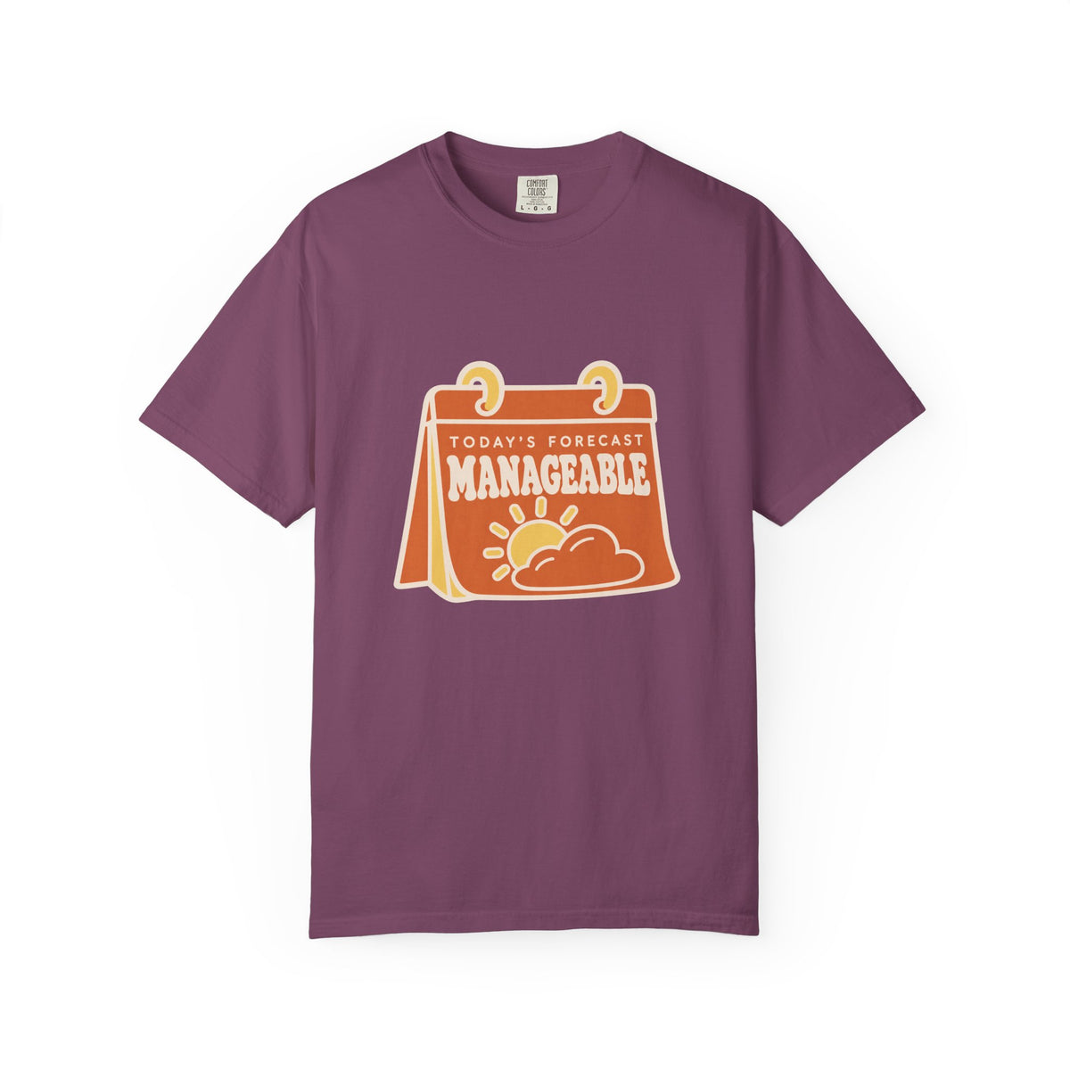 Today's Manageable Forecast T-Shirt